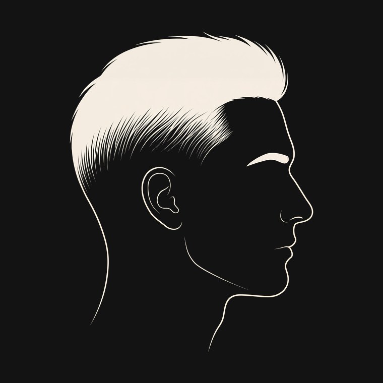 Reference illustration of a high skin fade